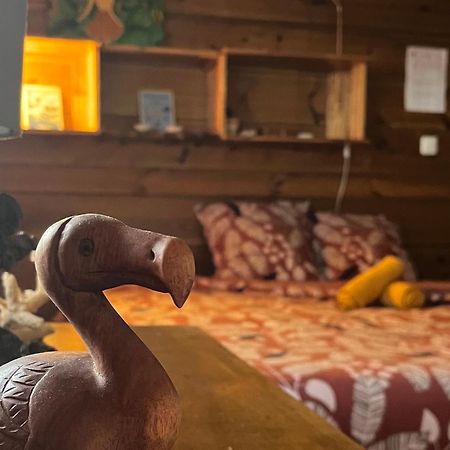 Dodo House Auberge De Jeunesse Сен-Ле Екстер'єр фото